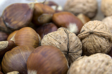 In the foreground the chestnuts and walnuts
