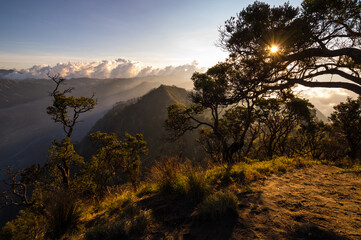 Bromo Tengger Semeru National Park