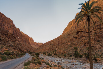 Fototapeta na wymiar Sunset in Todra gorge in Morocco, palm tree in the foreground