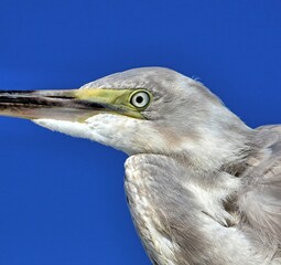 Single photo enhanced with easyHDR 3.10.1.