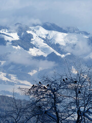 Winter hiking tour to Pendling mountain, Tyrol, Austria