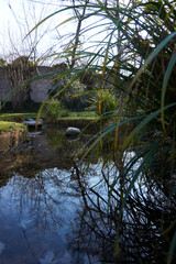 A stone in the pond ideal for a lake at home
