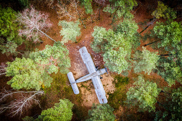 Plane in the woods