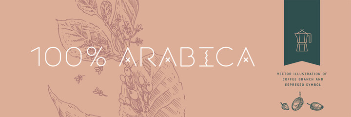 Vintage coffee shop banner template with vector coffee beans drawing in engraving style. Isolated coffee branch illustration on brown background. Panoramic coffee roasting banner. Organic caffeine.