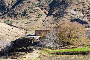 Fototapeta na wymiar Agricultural field in the base of Atlas mountain in Morocco