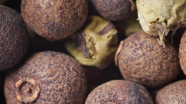 Macro pepper berries. Black, red, white and allspice peppercorns. Slow rotation.