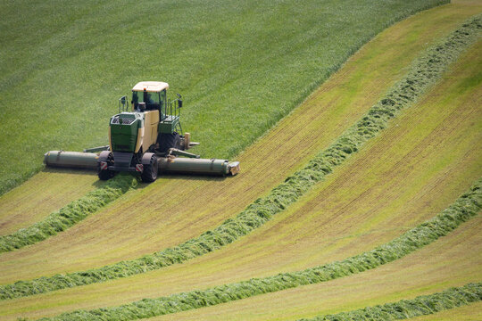 cutting silage in Comber Northern Ireland