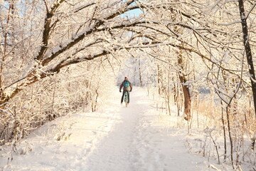 Obraz premium Cyclist on a trail in a winter snow-covered forest.