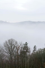 Valley with forest hiding in fog, autumn or winter foggy morning