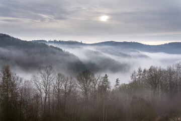 Valley with forest hiding in fog, autumn or winter foggy morning