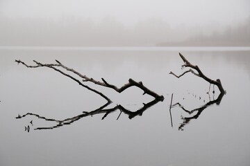 Moody misty landscape of lake with amazing effect of reflection of branches immersed in calm surface of water. Otomin Lake, Kashubia, Poland