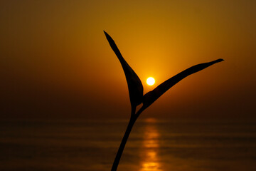 Sunset in the Atlantic Ocean