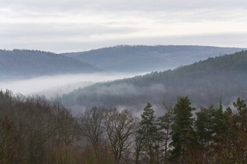 Valley with forest hiding in fog, autumn or winter foggy morning