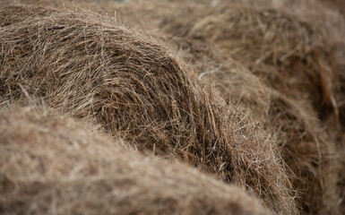Hay stacks closeup