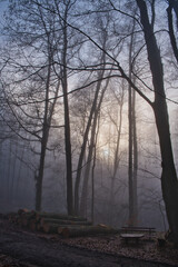 Nebellandschaften an der Bergstraße.