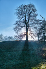 Nebellandschaften an der Bergstra&szlig;e.