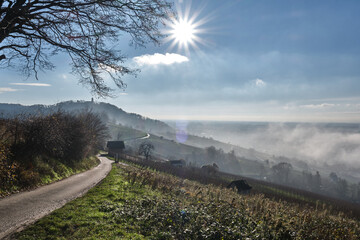 Nebellandschaften an der Bergstra&szlig;e.