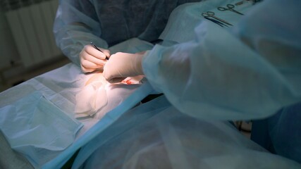 Fototapeta premium Doctors give the girl blepharoplasty. A surgeon who performs a plastic surgery called blepharoplasty in a medical clinic.
