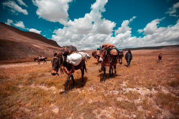 Nomads (Khana Badoosh) of Pakistan © Jaam Saqi