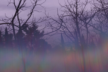 Obraz na płótnie Canvas landscape with iridescent reflections haze