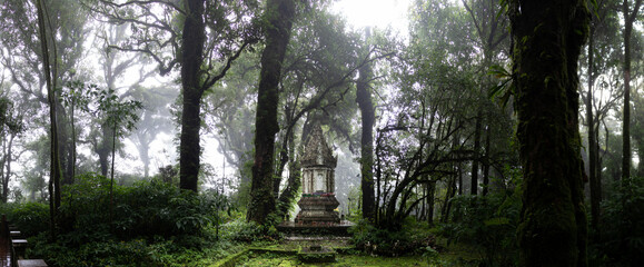Fototapeta na wymiar shrine in the cloud forest on the highest mountain of Thailand - Doi Inthanon - pano HDR picture 
