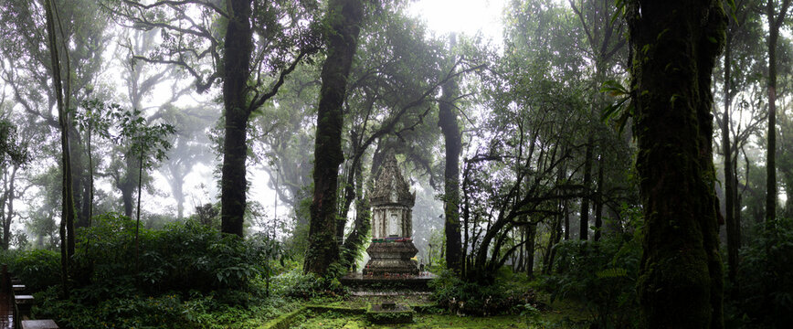 shrine in the cloud forest on the highest mountain of Thailand - Doi Inthanon - pano HDR picture 