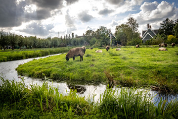 village of Zaanse Schaans in the Netherlands