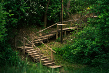 Wooden staircase in a green forest. Descending the stairs in the ravine. Summer forest in the mountains