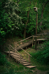 Wooden staircase in a forest reserve. Old abandoned wooden staircase on the hillside.