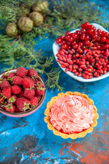bottom view fresh raspberries currants and barberries in bowls pine tree branch on blue background