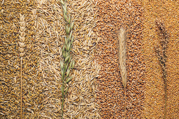 Assortment of dry cereals, closeup