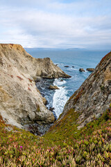 Fototapeta premium California beach near Sonoma Coastline