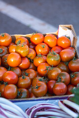 Edible bulbs similar to onions typical of the south of Italy called lampascioni, still with dome dirt on them, in a container on sale in an italian food market.