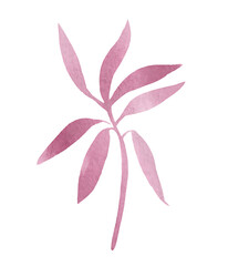 Boho style watercolor plant. An abstract, decorative, stylish image for a variety of design compositions, for the holidays, congratulations or illustrations on product packaging.