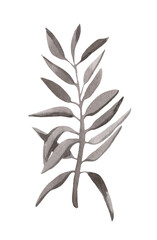 Boho style watercolor plant. An abstract, decorative, stylish image for a variety of design compositions, for the holidays, congratulations or illustrations on product packaging.