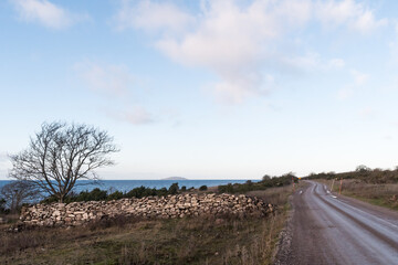 Fototapeta premium Coastal country road