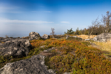 Autumn foggy morning in the deciduous forest. The low sun shines through the trees and fog and paints in the leaves and tall grass. Mountain landscape around the hill Decinsky Sneznik in northwestern 