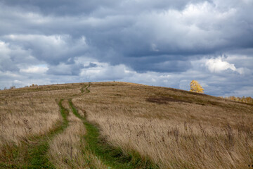 A winding dirt road to the top of the hill, overgrown with green grass, around autumn, yellow, dry grass. On the hill is a birch with yellow foliage.