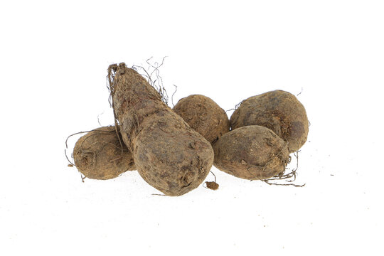 Young chinese potato or Koorka isolated on white background. Harvest new