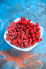 bottom view currants and barberries in white plate on blue red background free space