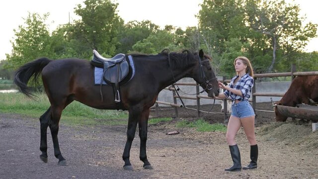 Girl with hourse. Smiling woman and her horse on the farm