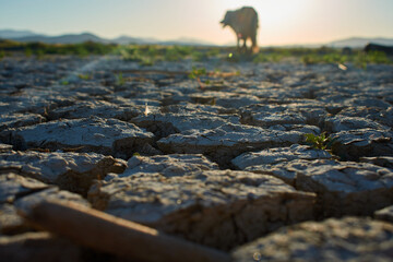 Sunset Over Remains of Dried up Lake Bed