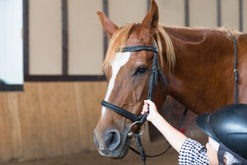 girl in helmet holding a horse by the bridle, by the harness. training equestrian sport, horse riding.