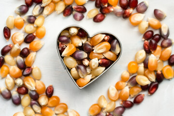 Multi Colored Popcorn Seeds in a Heart Shape