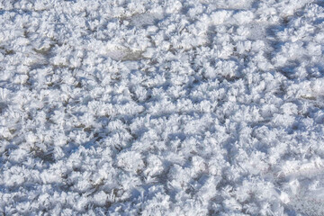 Snow crystals on the ice of a frozen river