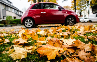 A fiat 500 car parked in the fall season