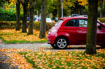A fiat 500 car parked in the fall season