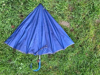 umbrella on green grass