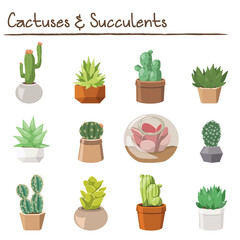 Set of Different Colorful Cactuses and Succulents in Pots and Terrariums