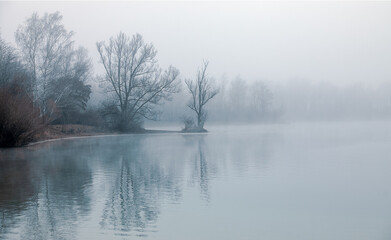 Nebel am See